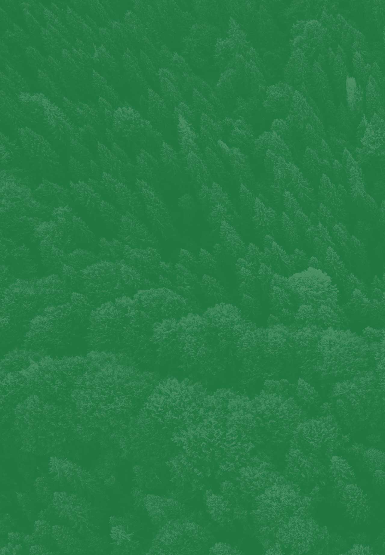 Programa Zero carbon
