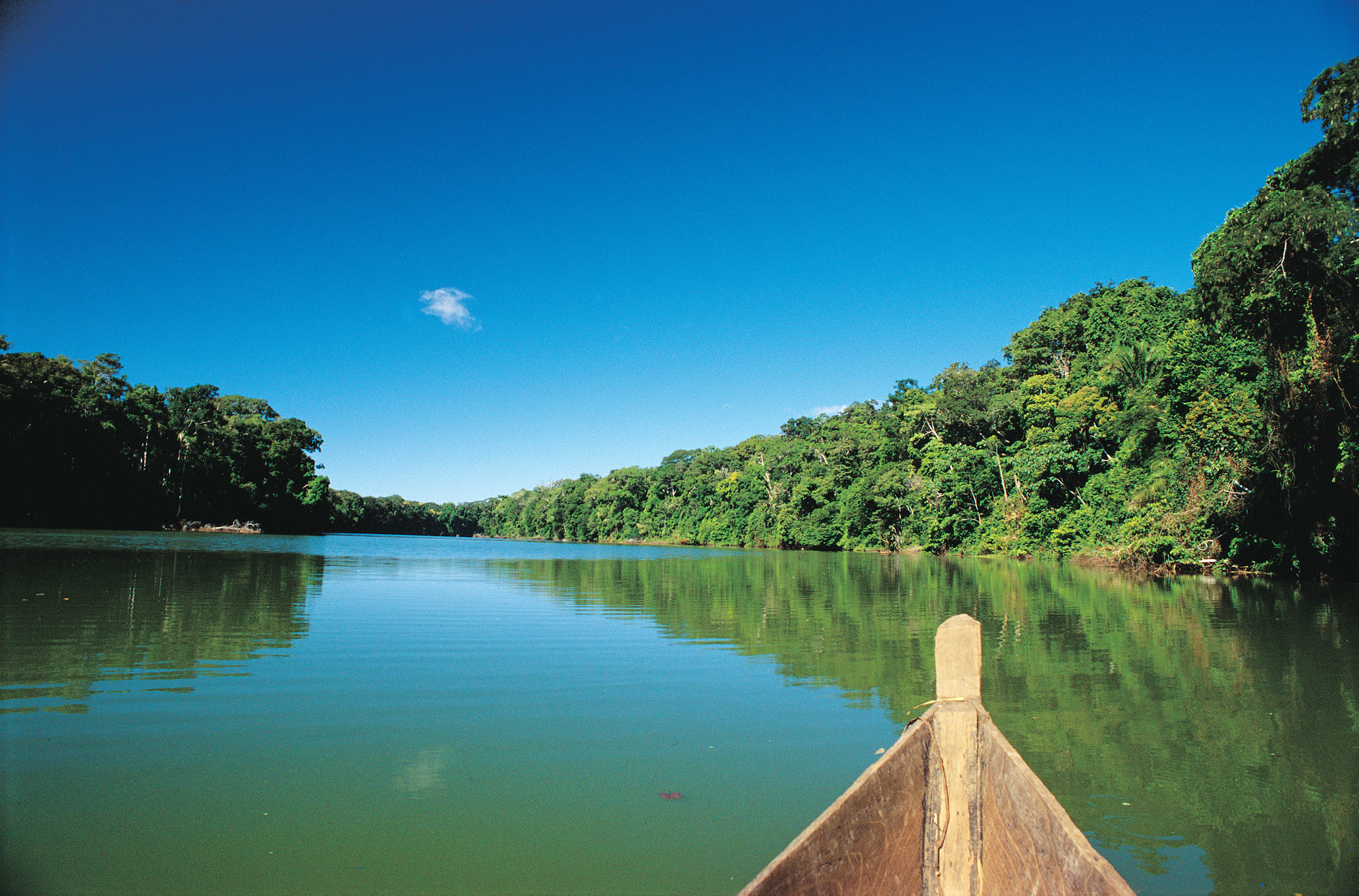 Amazonía Madre de Dios Project