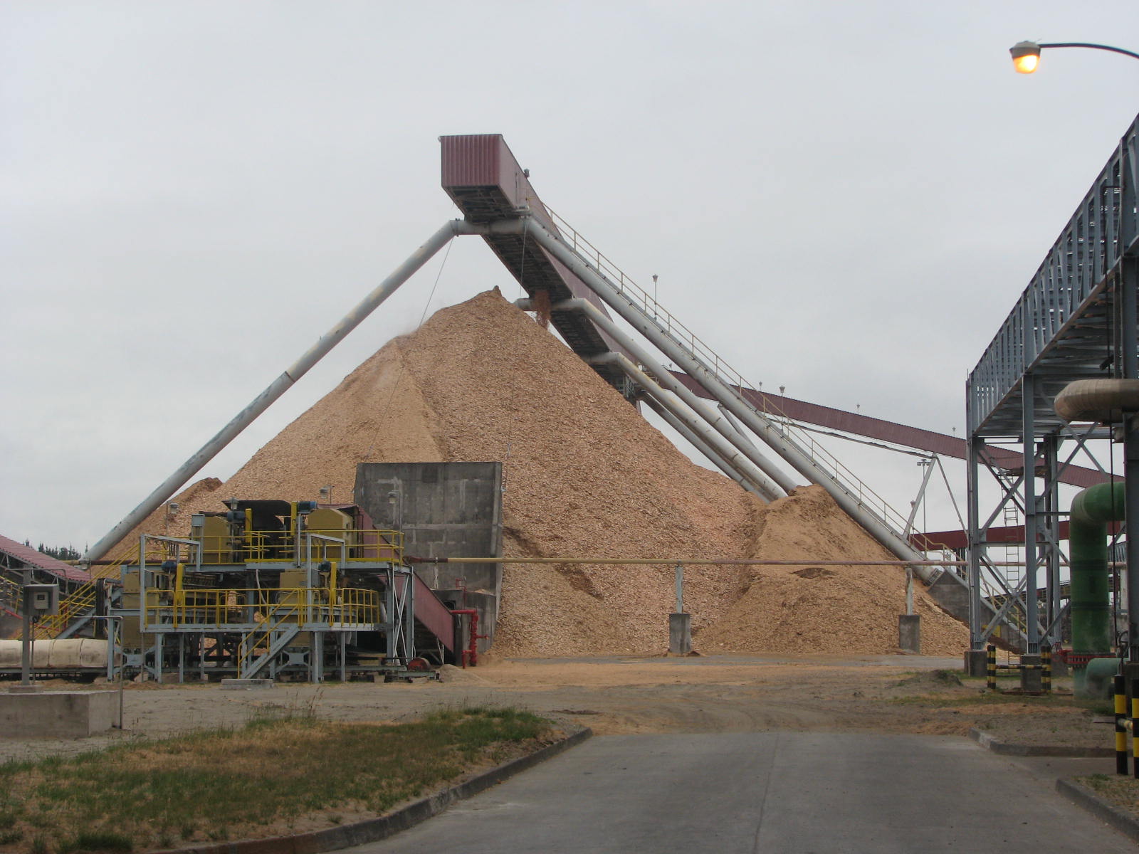Trupan Biomass Project