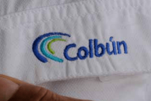 Colbún certifies its corporate offices CO2 neutral 2013