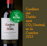 Casillero del Diablo CO2 neutral at Sustainability Summit 2013