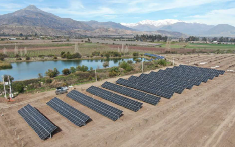 Unifrutti Fundo Lo Calvo